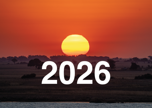 2026 African Calendar